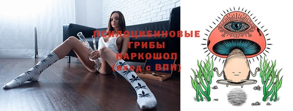 сатива Верхнеуральск