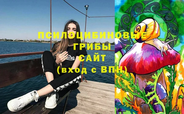 apvp Верхний Тагил