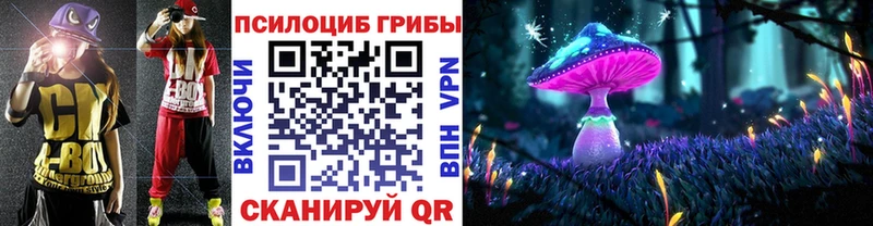 Псилоцибиновые грибы Psilocybe  Заозёрный 