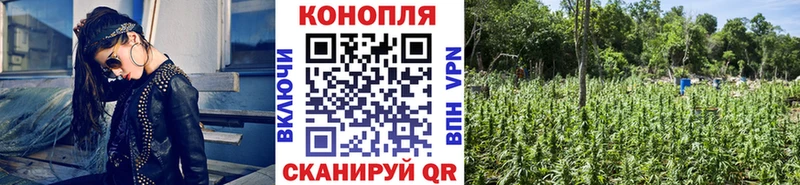 Бошки марихуана ГИДРОПОН  Заозёрный 