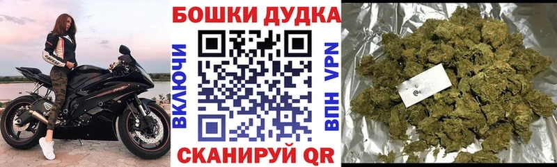 Канабис планчик Заозёрный